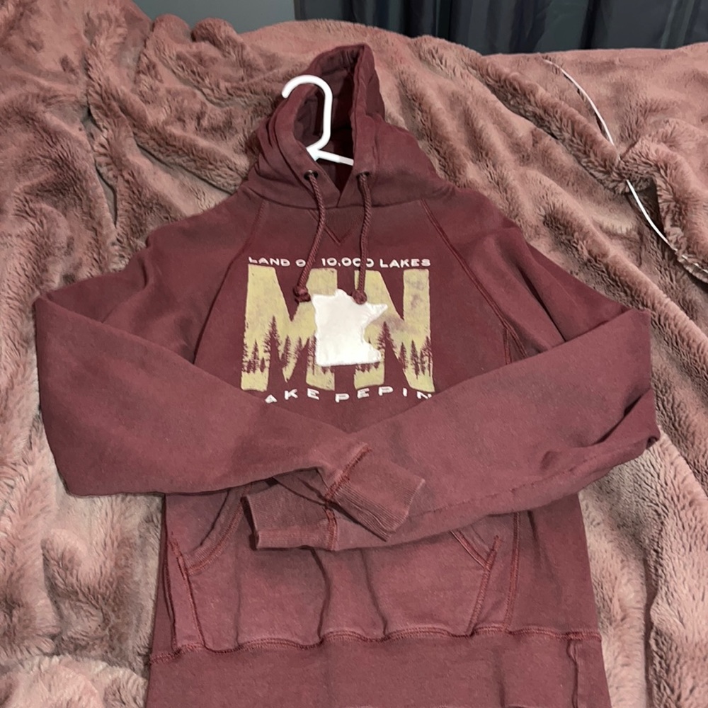 blue 84 MN lake pepin hoodie